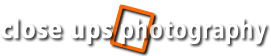 close ups photography
