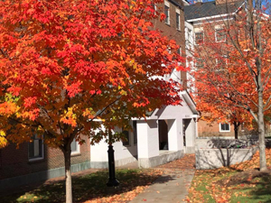 Dartmouth Bildner Hall