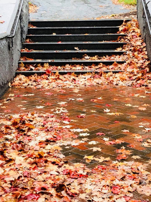 Dartmouth fall stairs